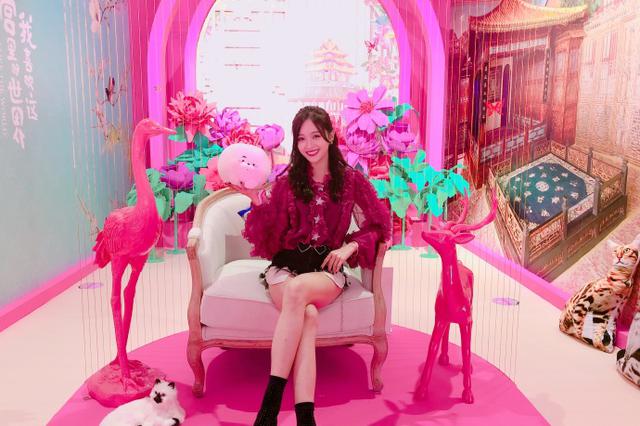 人民日报批粉丝集资追星：应理性适度算“明白账”