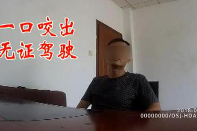 男子开车被狗咬 追尾公交却牵出无证驾驶案