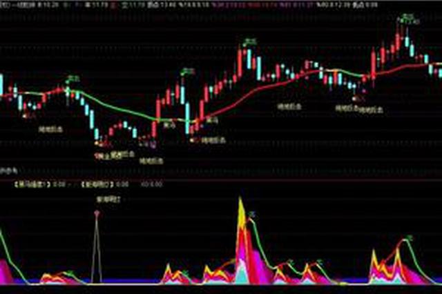 百人群里七成是“托”：老股民入群5天被骗两百多万