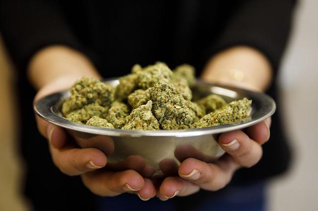 男子躲在自家房间种大麻 为销毒品 还出钱开了快递点