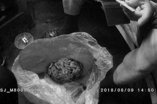 工地上发现6.8公斤古钱币 民警追回后全部上缴国家