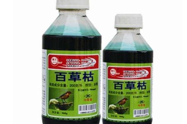 情侣相约喝农药自杀女方死亡 男方被判故意杀人罪