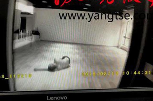 误将舞蹈房当成澡堂 男子酒后强行闯入过夜