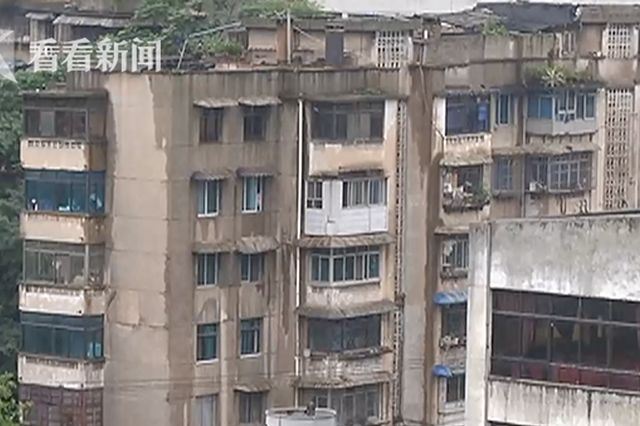 猴子突然窜进4楼居民家中 床上的宝宝惨被其狠咬