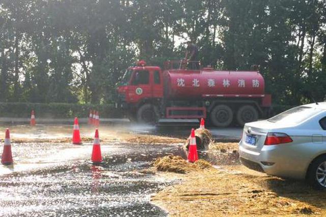 江苏辽宁河南接连发生非洲猪瘟疫情 人会被传染吗？