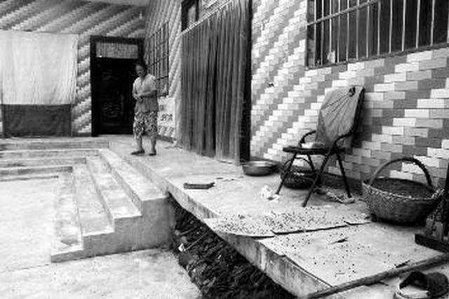 养鸡场苍蝇乱飞 村民不堪其扰提一袋死苍蝇投诉