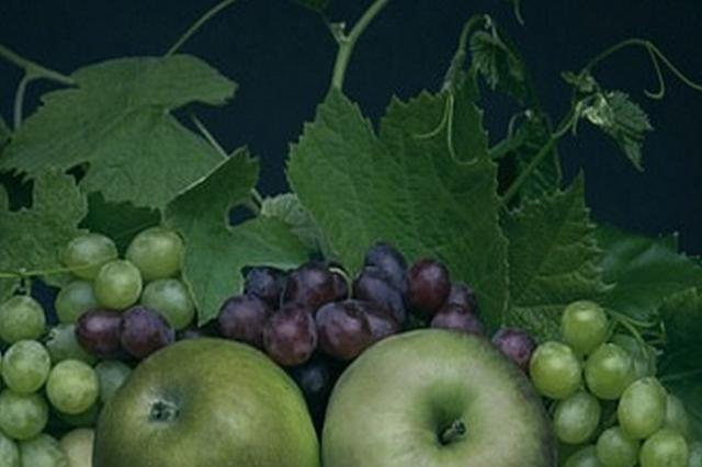 黑莓酒卖出“神药”价涉嫌传销 溧水一团伙被逮捕