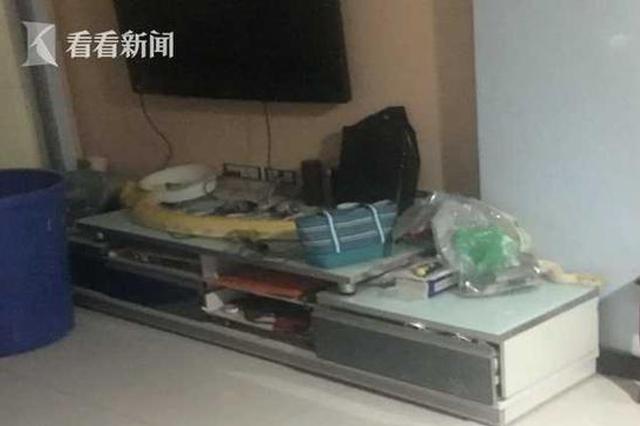 半夜客厅有响动 主人起床看到金黄色巨蟒在吐信子