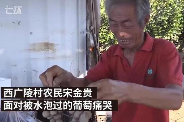 山东寿光水灾倒塌房屋9999间 巧合还是逃避追责？