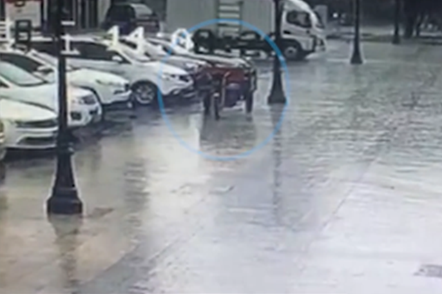 泗阳叔侄俩为骗保自导自演 结局竟把自己“蠢哭”