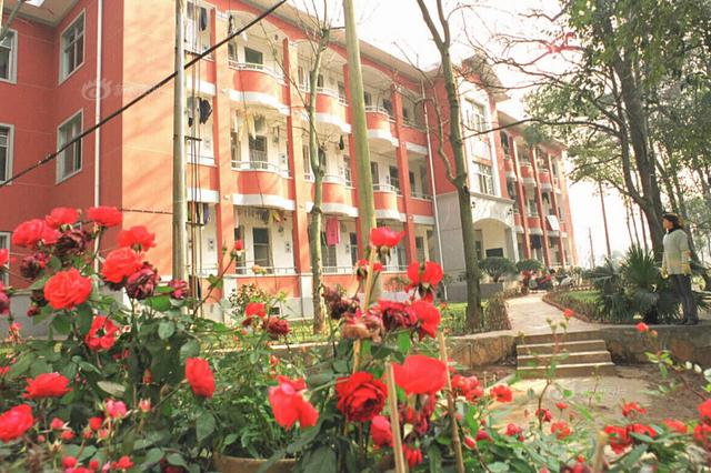 金九银十南京万余套新房入市 自住为主的趋势将延续