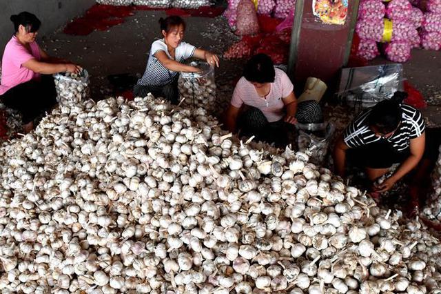 上半年我省农民人均可支配收入1.1万 同比增长8.9%