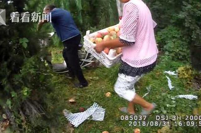 货车侧翻万斤桃遭哄抢 抢桃大妈反问民警：犯法？