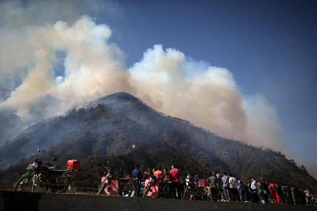 男子过年上坟放炮引发山林大火 被判2年半罚176万