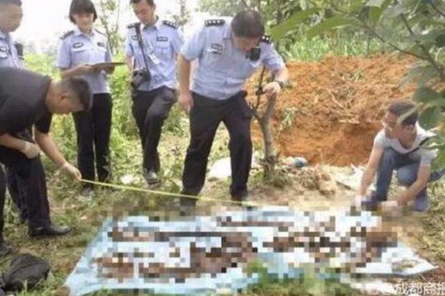 小男友勒死48岁女强人埋尸种树 向对方女儿要250万赎金