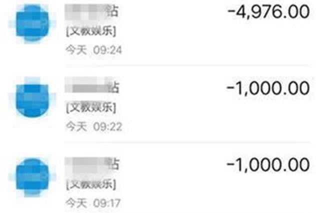 8岁“熊孩子”破解支付密码 一天“消费”母亲两年工资