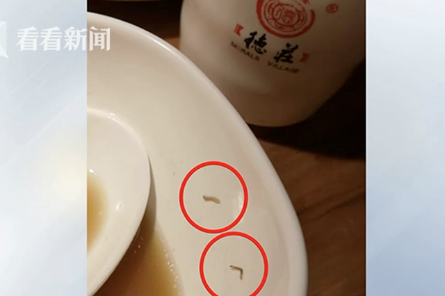 火锅店牛肝菌中吃出数条小虫 店员称正常当场吞下
