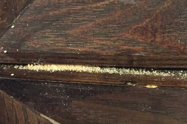 男婴火锅店误食杀虫粉后洗胃 店家承认操作不规范