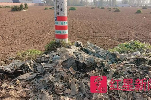 男子把8万元当垃圾扔了 进焚烧炉前25分钟被找回