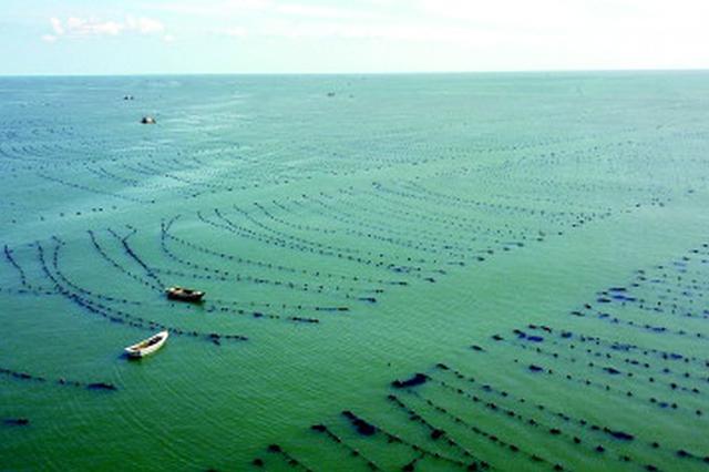 江苏全面启动第三次国土调查工作 增农村不动产调查