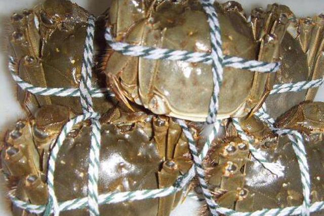 太湖为保水质全面拆围网 明年起禁止“圈养”大闸蟹