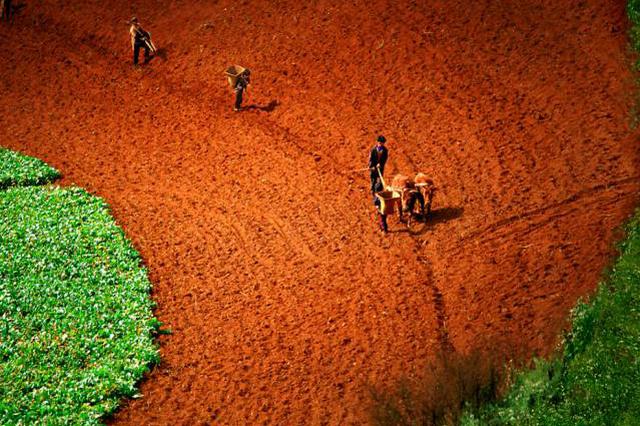 仅降3元 新华社发文质问：景区门票降价咋这么难？