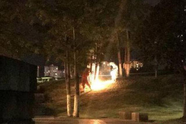 散步市民被发飙马蜂群蛰伤 奶奶脱衣护孙女不治身亡