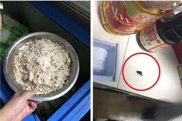 芜湖三家幼儿园连曝食品安全问题 8人被立案调查