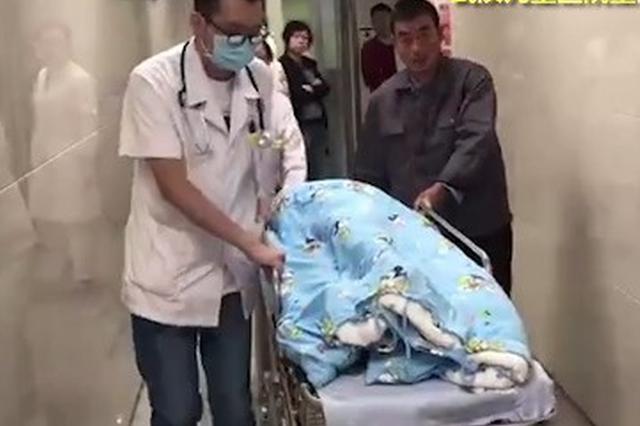 马蜂发飙蛰伤市民 奶奶脱衣护孙女自己不治身亡