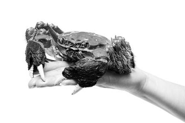 8只螃蟹7只短斤少两 “固城湖畔”包装名堂多