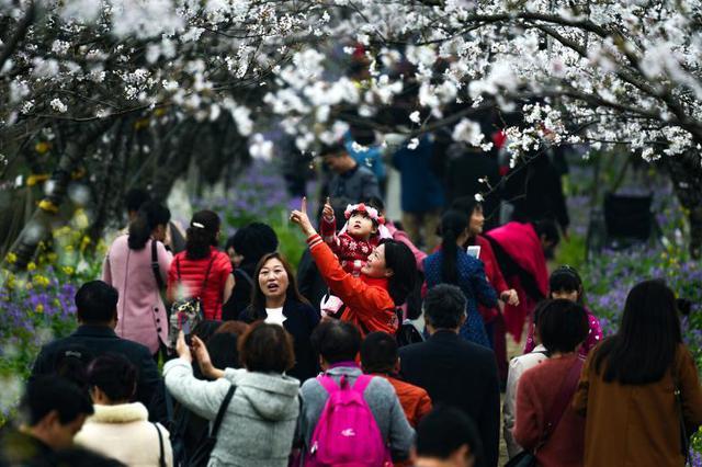 景区对外国人免费？江西旅发委回应：系假新闻