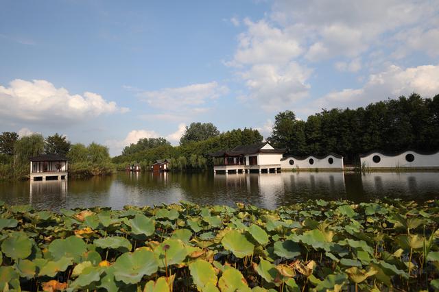 国庆消费报告：南京人均跨省游花费预计超过3300元