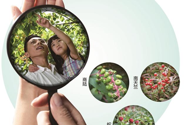 游客游中山陵好奇吃野果中毒 交警紧急救援