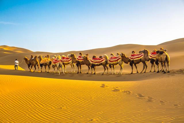 老夫妻自驾游被导航带进沙漠 受困2天后获救