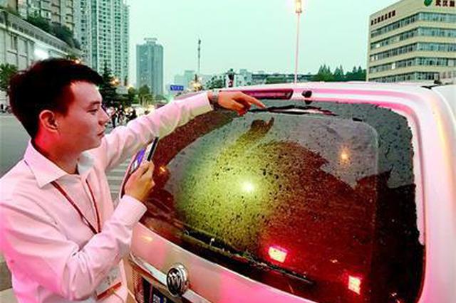 大厦外墙玻璃突脱落下“玻璃雨” 百万豪车被砸