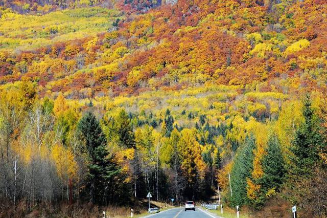 秋意渐浓！9日起不断有冷空气南下 全省降温6到8℃