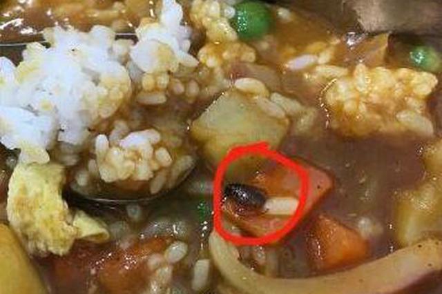 女子在5星网红餐厅吃出蟑螂 负责人：老城区就这样