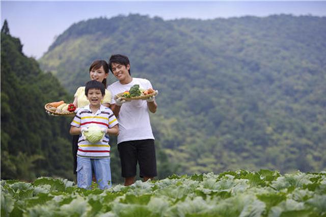 江苏4万多个家庭农场前景喜人 农村真的越来越值钱