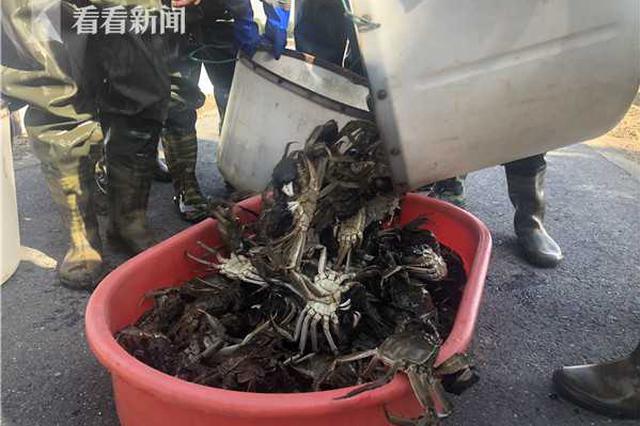 为筹钱上网打游戏 三个小伙偷700多斤螃蟹