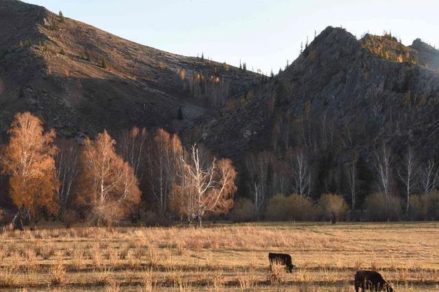 新疆查处五起编造和传播政治类谣言信息典型案例