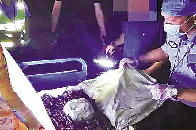 120斤小龙虾为什么能卖2万 因为有“毒”