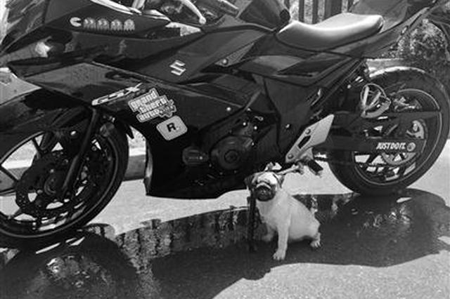 小偷两次用“货拉拉”下单偷摩托：司机不是同伙