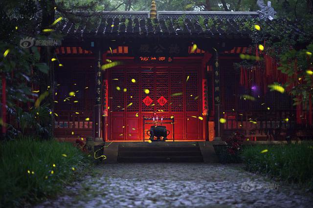 南京10年增加了3万公顷树木：能覆盖10个紫金山