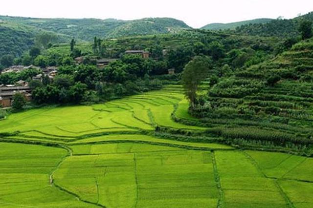 农村土地承包法草案:草地承包期届满拟延长三十年