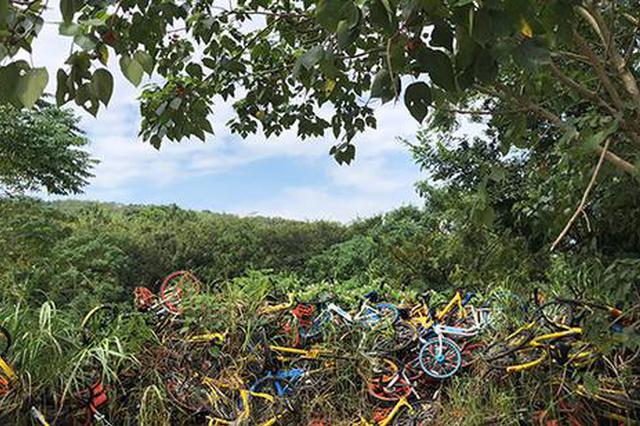 南京共享单车坟场困局：高昂停车费让车企难接受