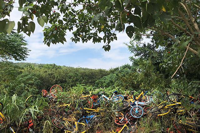 南京共享单车“坟场”困局 30多万辆无牌车谁来清理
