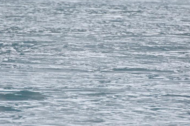 江苏三大跨流域调水工程启动 确保冬春期供水需求