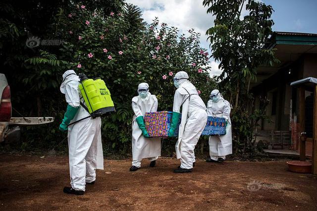 我国发生21起非洲猪瘟疫情 62%与餐厨剩物有关