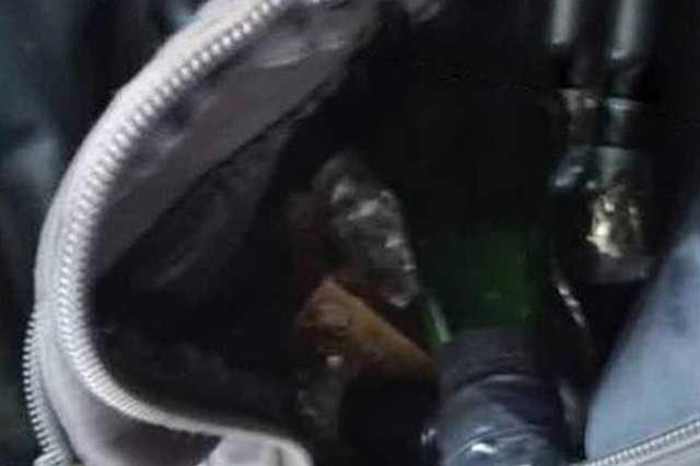 石家庄市一小区发生枪击案1死1伤 嫌犯今晨落网