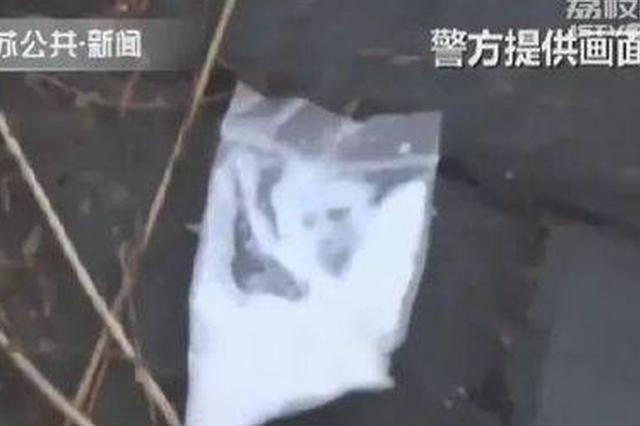 吸毒男4楼坠下又遭车碾身亡 法官详解司机为何需担责